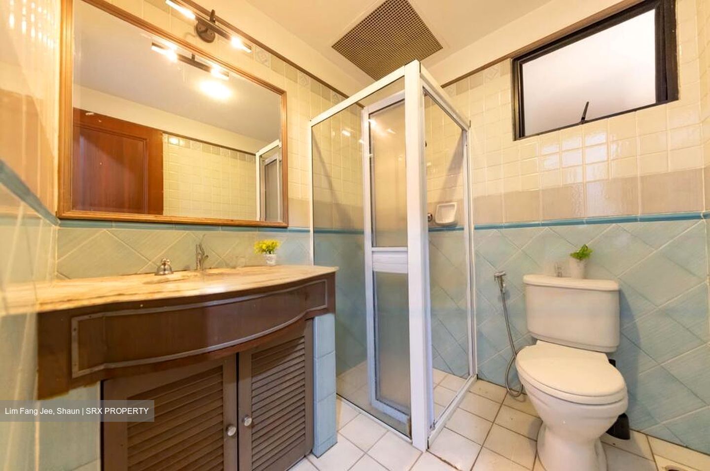 Dover Parkview (D5), Condominium #461060531